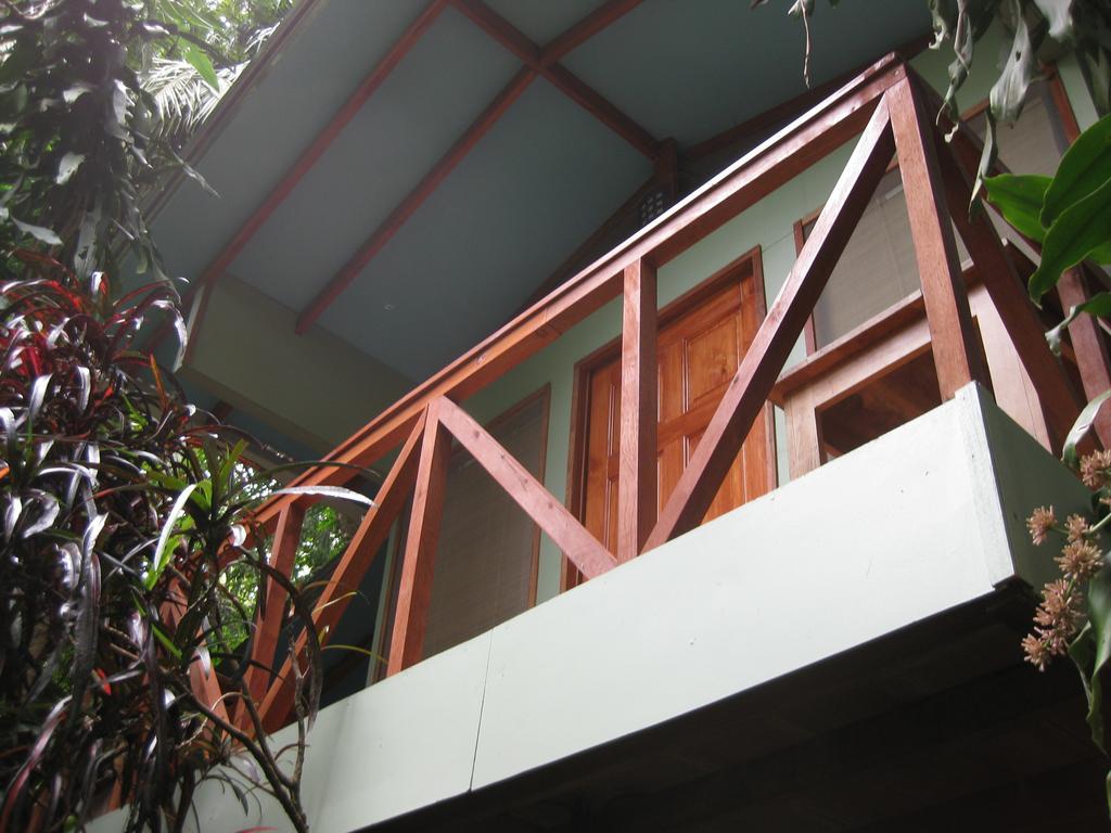 Luz En El Cielo Eco-B&B/Hostel Montezuma Habitación foto